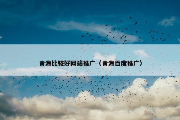 青海比较好网站推广（青海百度推广）