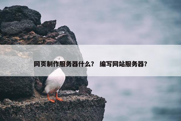 网页制作服务器什么？ 编写网站服务器？