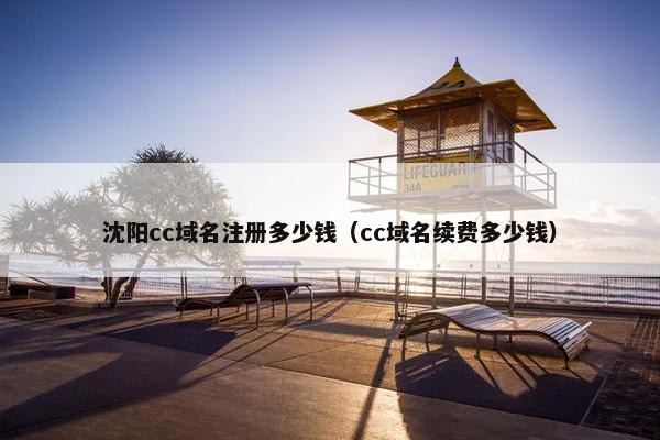 沈阳cc域名注册多少钱（cc域名续费多少钱）