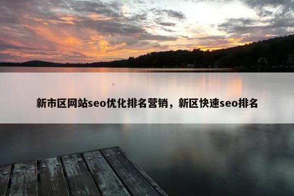 新市区网站seo优化排名营销，新区快速seo排名