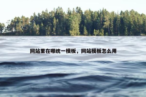 网站里在哪统一模板，网站模板怎么用