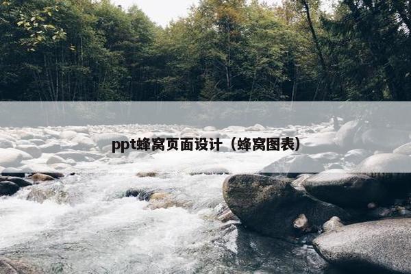 ppt蜂窝页面设计（蜂窝图表）