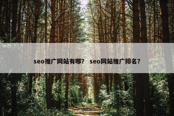 seo推广网站有哪？ seo网站推广排名？