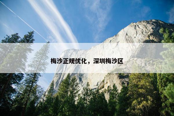 梅沙正规优化，深圳梅沙区