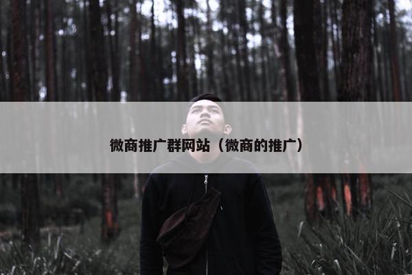 微商推广群网站（微商的推广）