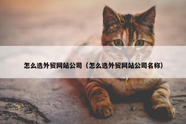 怎么选外贸网站公司（怎么选外贸网站公司名称）