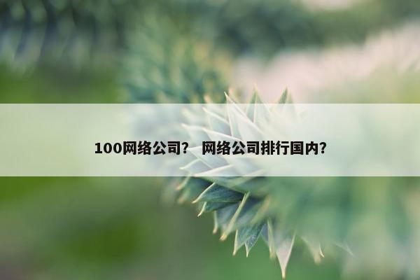 100网络公司？ 网络公司排行国内？
