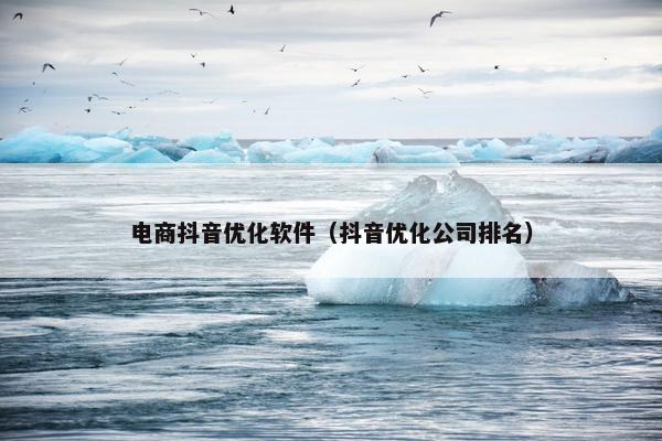 电商抖音优化软件（抖音优化公司排名）