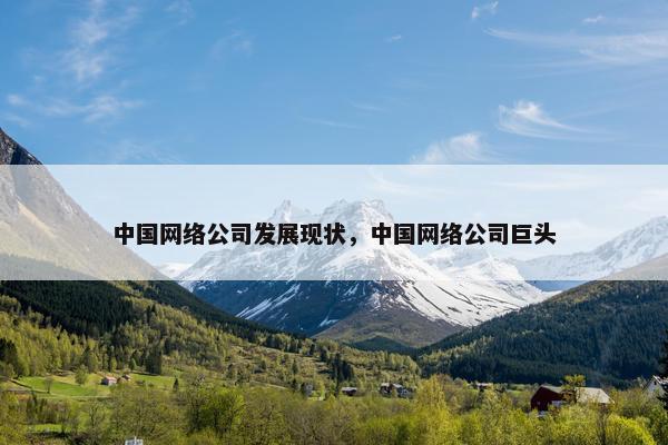 中国网络公司发展现状，中国网络公司巨头
