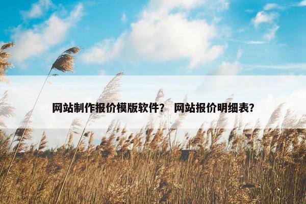 网站制作报价模版软件？ 网站报价明细表？
