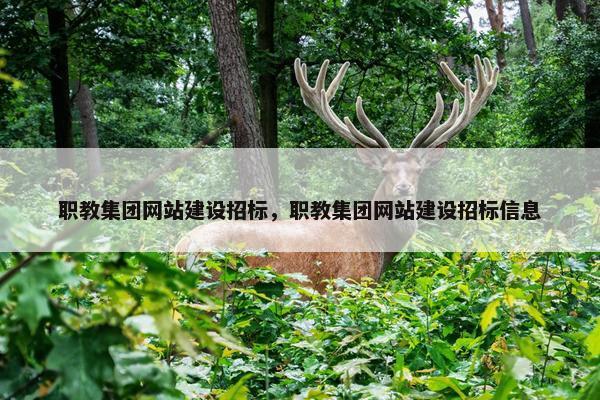 职教集团网站建设招标，职教集团网站建设招标信息