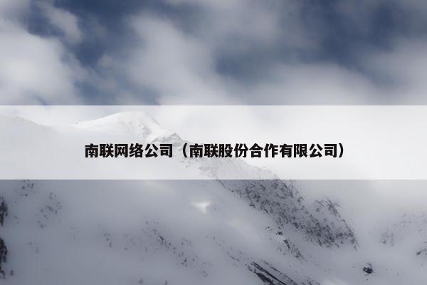 南联网络公司（南联股份合作有限公司）