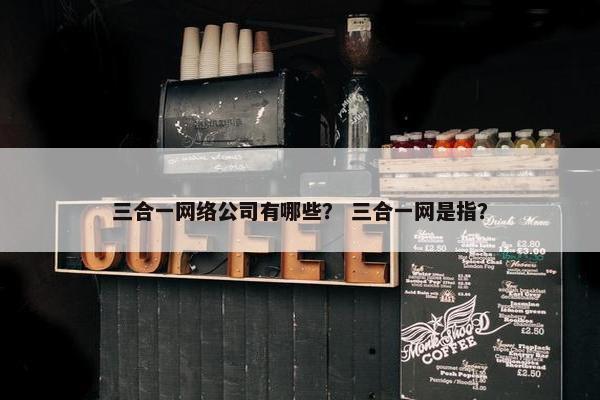 三合一网络公司有哪些？ 三合一网是指？