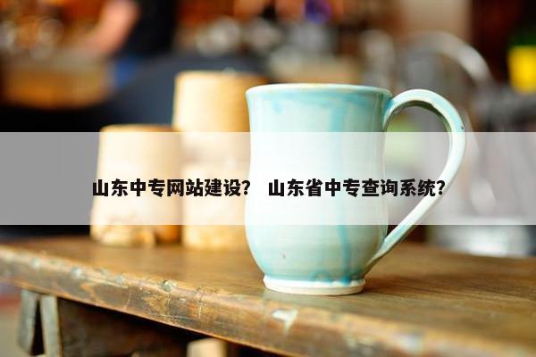 山东中专网站建设？ 山东省中专查询系统？