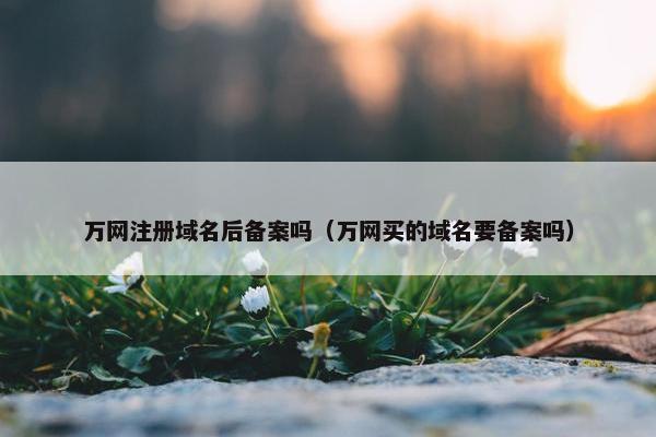 万网注册域名后备案吗（万网买的域名要备案吗）