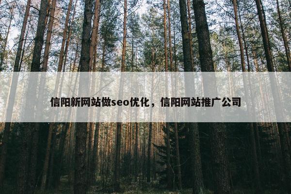 信阳新网站做seo优化，信阳网站推广公司
