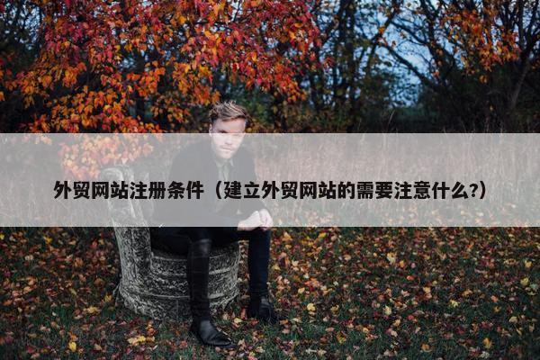 外贸网站注册条件（建立外贸网站的需要注意什么?）