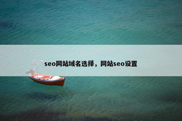 seo网站域名选择，网站seo设置