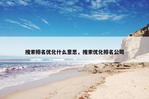 搜索排名优化什么意思，搜索优化排名公司