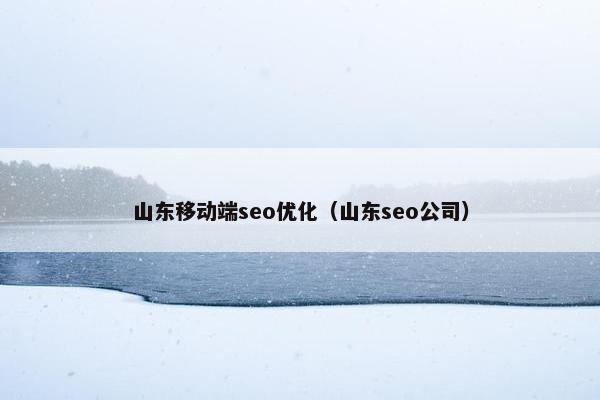 山东移动端seo优化（山东seo公司）