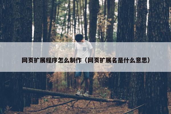 网页扩展程序怎么制作（网页扩展名是什么意思）