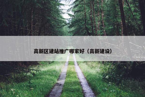 高新区建站推广哪家好（高新建设）