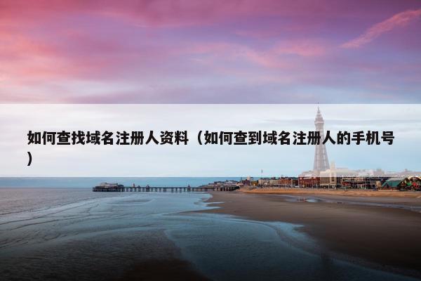 如何查找域名注册人资料（如何查到域名注册人的手机号）