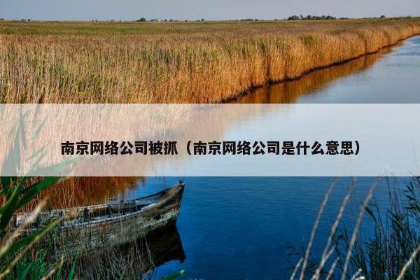 南京网络公司被抓（南京网络公司是什么意思）