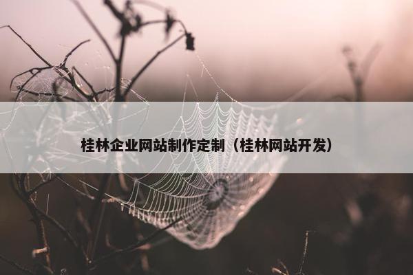 桂林企业网站制作定制（桂林网站开发）