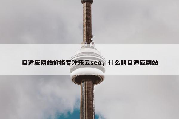 自适应网站价格专注乐云seo，什么叫自适应网站