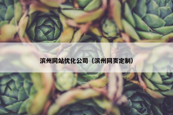 滨州网站优化公司（滨州网页定制）