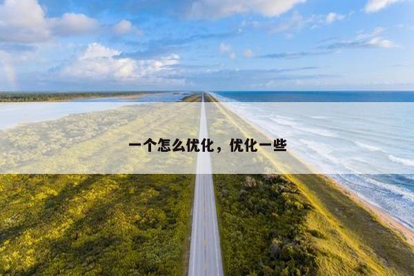 一个怎么优化，优化一些