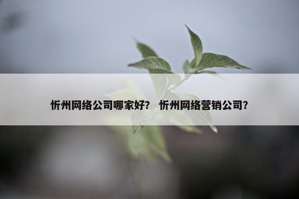 忻州网络公司哪家好？ 忻州网络营销公司？