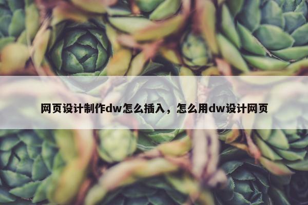 网页设计制作dw怎么插入，怎么用dw设计网页