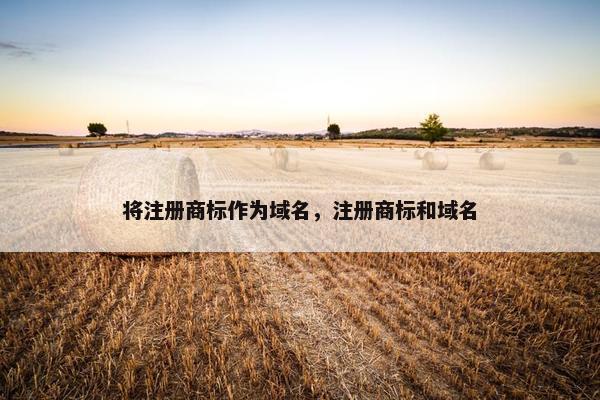 将注册商标作为域名，注册商标和域名