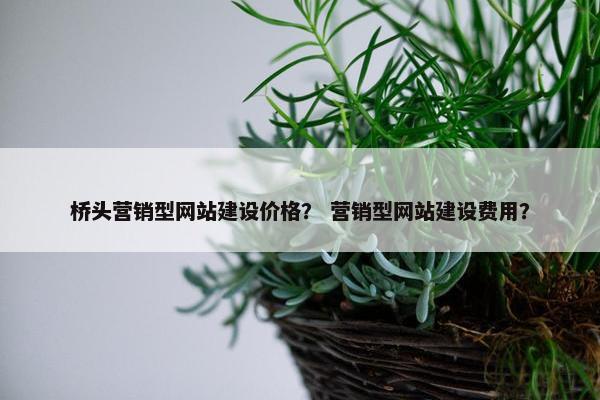 桥头营销型网站建设价格？ 营销型网站建设费用？