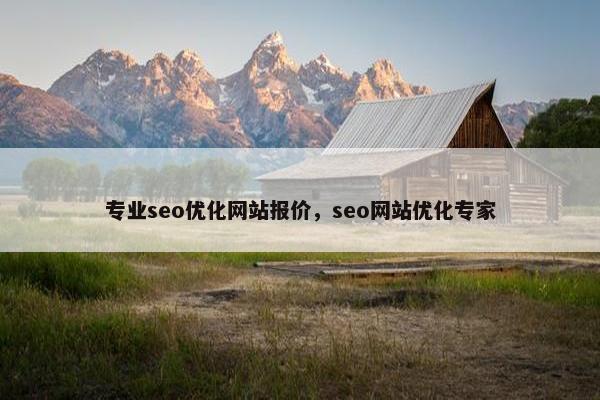 专业seo优化网站报价，seo网站优化专家