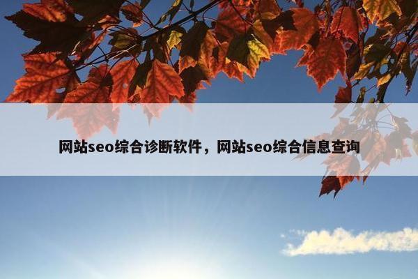 网站seo综合诊断软件，网站seo综合信息查询