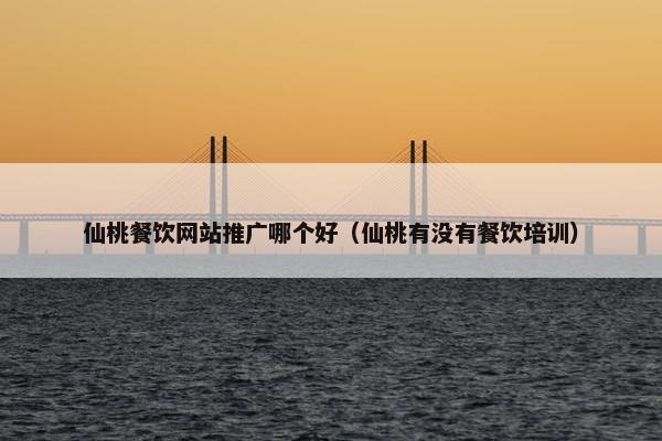 仙桃餐饮网站推广哪个好（仙桃有没有餐饮培训）