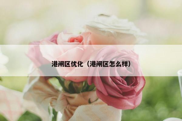 港闸区优化（港闸区怎么样）
