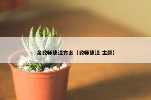 金教师建设方案（教师建设 主题）