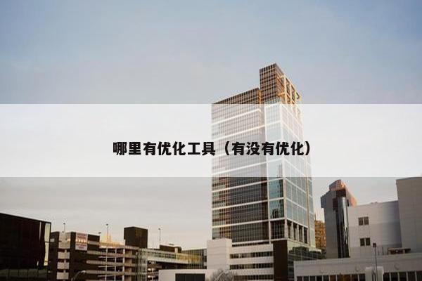 哪里有优化工具（有没有优化）