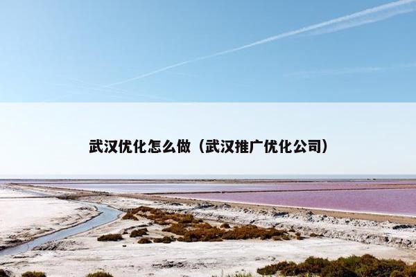 武汉优化怎么做（武汉推广优化公司）