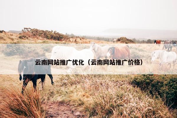 云南网站推广优化（云南网站推广价格）