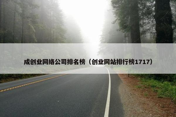 成创业网络公司排名榜（创业网站排行榜1717）