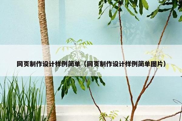网页制作设计样例简单（网页制作设计样例简单图片）