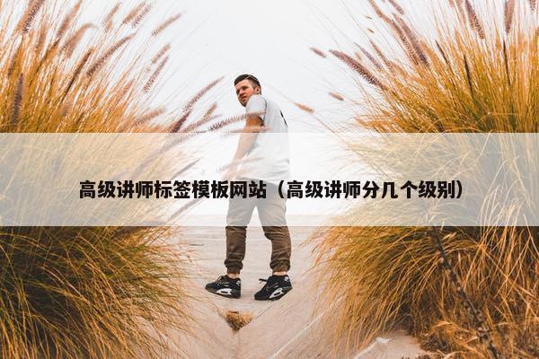 高级讲师标签模板网站（高级讲师分几个级别）