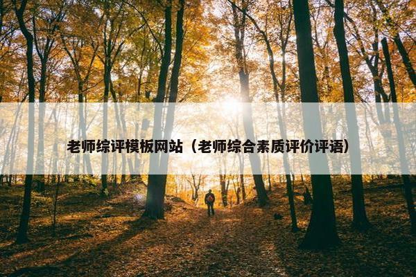 老师综评模板网站（老师综合素质评价评语）