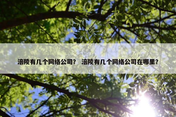 涪陵有几个网络公司？ 涪陵有几个网络公司在哪里？