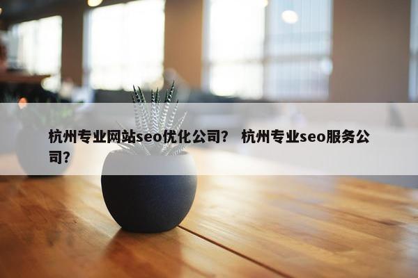 杭州专业网站seo优化公司？ 杭州专业seo服务公司？